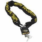 Anti-theft chain - BURG WACHTER - SKM 6/60/NI40 - 60 cm, 6 mm case-hardened square steel, marine stainless steel padlock – Bild 3