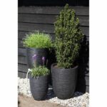 Elegant low vase - CAPI EUROPE - RIB NL - 34 x 46 cm - Black - Image 3