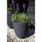 Elegant low vase - CAPI EUROPE - RIB NL - 34 x 46 cm - Black - Image 4