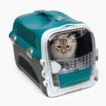 CAT IT Convertible Cabrio - Turquoise Blue - For Cat - Image 2