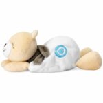 Heated Teddy Bear Plush Toy - CHICCO - Beige - From birth - Image 3