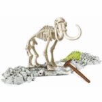 CLEMENTONI Archéo Ludic - Phosphorescent Mammoth - Science & Game - Image 3