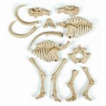 CLEMENTONI Archéo Ludic - Phosphorescent Mammoth - Science & Game - Image 5