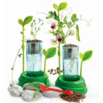 CLEMENTONI Science & Game - Botany and Hydroponics - Scientific Game - Image 2