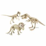 CLEMENTONI Archéo Ludic - Legendary dinosaurs - Science & Game - Image 2