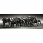 CLEMENTONI - Compact 1000 pieces Panorama - Herd of Giants - Image 2
