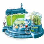 Clementoni - Science and Games - The city of ants - Ant observatory - Made in Italy - Image 2