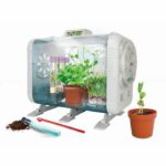 CLEMENTONI - My high-tech greenhouse - 3 ways to grow - Sensors to control brightness, temperature and humidity - - Image 3