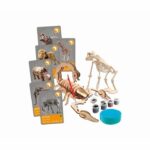 CLEMENTONI - Animals Planet Reality - Scientific box - Scientific experiments and virtual activities - Molds, paints, - Image 5