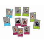CLEMENTONI - Animals Planet Reality - Scientific box - Scientific experiments and virtual activities - Molds, paints, - Image 6