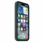 APPLE iPhone 16 - Silicone Case with MagSafe - Lake Green - Image 5