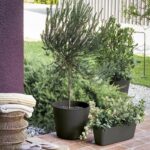 Flower pot - DEROMA - Origin - 11 L - Anthracite - Image 4