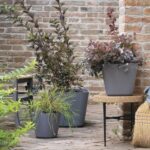Square flower pot - DEROMA - Origin - 12 L - Grey - Image 3