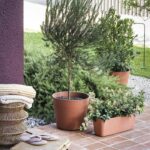 Flower pot - DEROMA - Origin - 45 L - Terracotta - Image 3