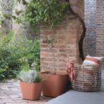 Square flower pot - DEROMA - Origin - 29 L - Terracotta - Image 2