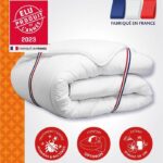 Duvet 220x240 cm DODO CHAMPS DE LIN - Warm - 450G/m² - Duvet for 2 people - Soft and Warm - Anti-mite Antibacterial - White