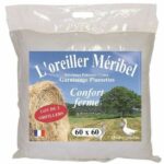 Dodo lot of 2 pillows Meribel Plumettes 60x60cm - Image 2