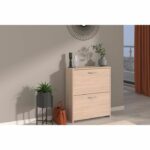 Shoe cabinet with 2 flaps - EASY LIFE - Oak - 66.5 x 78.5 x 25.1 - PARISOT - Image 2