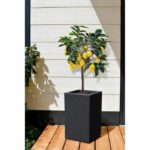 EDA Graphit Up Square Flower Box - 36 L - 29.5 x 29.5 cm x 49.5 cm - Anthracite gray - Image 2