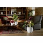 EDA OPAL CHAPE Ø 29.5 cm - volume 14.8 L - IVOIRE white - Image 2