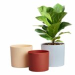 Flower pot - Elho - Lex Pott - Set 14 - Blue Pink Orange - L 14 x W 13.8 x H 12 cm - Indoor - 100% recycled – Bild 5