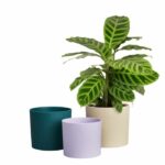 Flower pot - Elho - Lex Pott - Set 14 - White Green Purple - L 14 x W 13.8 x H 12 cm - Indoor - 100% recycled - Image 5