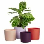 Flower pot - Elho - Lex Pott - Set 15 - Purple Red Pink Violet - L 15 x W 14.8 x H 14 cm - Indoor - 100% recycled - Image 5
