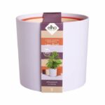 Flower pot - Elho - Lex Pott - Set 15 - Purple Red Pink Violet - L 15 x W 14.8 x H 14 cm - Indoor - 100% recycled - Image 6
