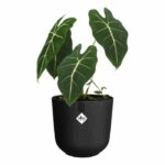 Flower pot - Elho - Jazz Round - Black - Ø 26 x H 24 cm - Indoor - 100% recycled