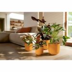 Flower pot - Elho - Jazz Round - Yellow - L 35 x W 34.5 x H 32 cm - Indoor - 100% recycled - Image 4