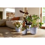 Flower pot - Elho - Jazz Round - Purple - L 35 x W 34.5 x H 32 cm - Indoor - 100% recycled - Image 4