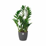 ELHO Brussels Wheels 40 round flowerpot - Black - Ø 39 x H 37 cm - interior - 100% recycled - Image 3