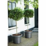 Green basics round flower pot - Plastic - Ø45 - Soft terracotta - Image 5
