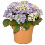 Round flower pot vibes - plastic - Ø30 - powder pink - Image 3