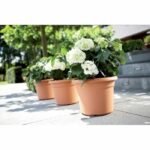 Round flower pot vibes - plastic - Ø30 - powder pink - Image 5