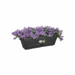 Elho Balconiere Green Basics Allin1 50 - Exterior & Balcony - L 25.7 x W 47.3 x H 16.7 cm - Living black - Image 3