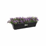 Elho Balconiere Green Basics Allin1 50 - Exterior & Balcony - L 25.7 x W 47.3 x H 16.7 cm - Living black - Image 4