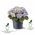 Elho Green Basics Cilinder 65 flower box - Black - Ø 64 x H 49 cm - outdoor - 100% recycled - Image 3