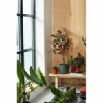 Loft Urban Loft of Loft of Flower - Plastic Tank - Ø30 - Powder pink - Image 5