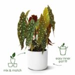 ELHO B.for Soft Round flower pot 35 - White - Ø 35 x H 32 cm - interior - 100% recycled - Image 2