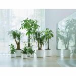 ELHO B.for Soft Round flower pot 35 - White - Ø 35 x H 32 cm - interior - 100% recycled - Image 5
