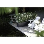 Elho Jardiniere Green Basics 60 - Living black - Outdoor - XXL - L 29.5 x W 59.2 x H 27.7 cm - Image 4