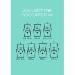 Elho Self-watering Insert Flower pot 44 - Black - Ø 43 x H 39 cm - interior accessories - 100% recycled - Image 6