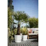 Elho Round Flower Pot Greenville 30 - Exterior - Ø 29.5 x H 27.8 cm - White - Image 6