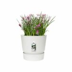 ELHO Greenville 40 round flowerpot - Outdoor - Ø 39 x H 36.8 cm - White - Image 4