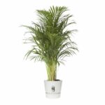 ELHO Greenville 47 round flowerpot - Outdoor - Ø 47 x H 44.1 cm - White - Image 5
