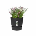 Elho Round Flower Pot Greenville 25 - Outdoor - Ø 24.48 x H 23.31 cm - Living black - Image 4