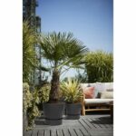 Elho Round Flower Pot Greenville 25 - Outdoor - Ø 24.48 x H 23.31 cm - Living black - Image 6