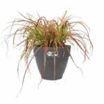 Elho Vibia Campana Round Flower Box 55 - Black - Ø 55 x H 47 cm - outdoor - 100% recycled - Image 2