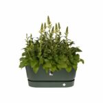 Greenville Terrase 80 Wheels leaf green - Image 2